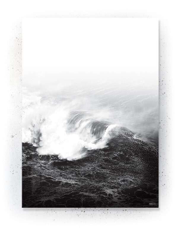 Plakat / Canvas / Akustik: Bølger (Black)