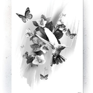 Plakat / Canvas / Akustik: Kolibri (Black)