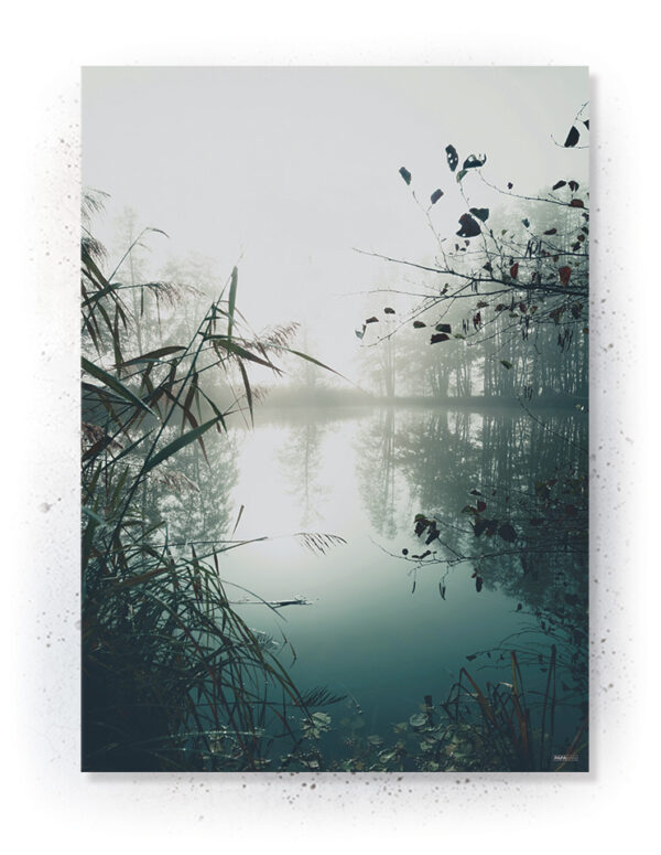 Plakat / Canvas / Akustik: Tåge (Nature)