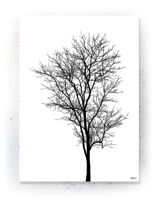 Plakat / Canvas / Akustik: Træ i silhuet (Black)